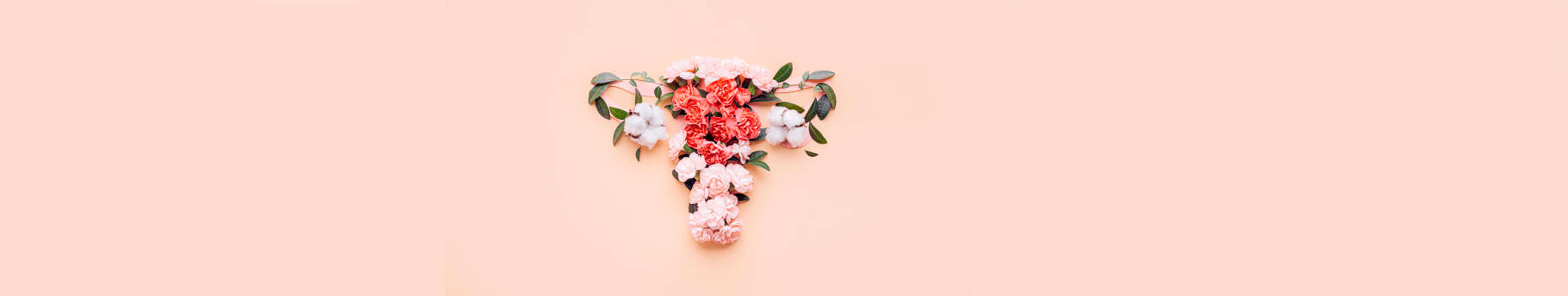 Vaginal prebiotics: what are they and what are their benefits?