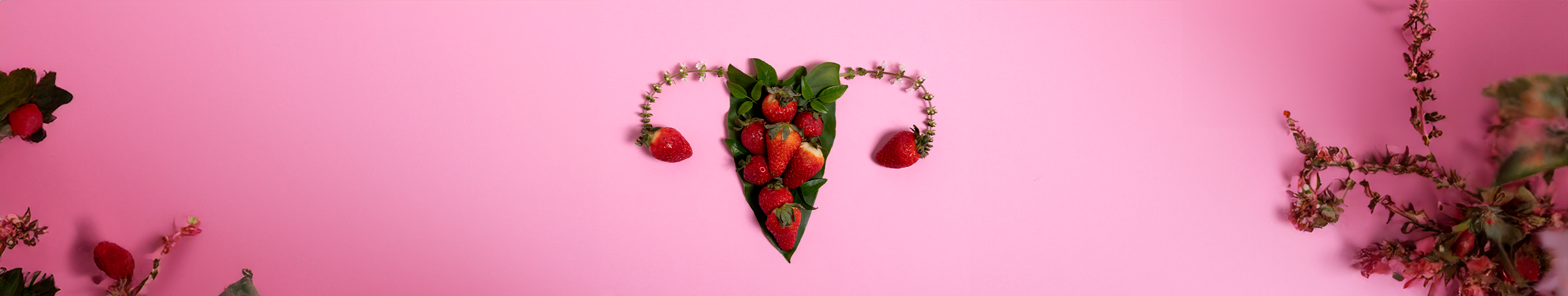 Key micronutrients for women’s intimate health: Probiotics and prebiotics