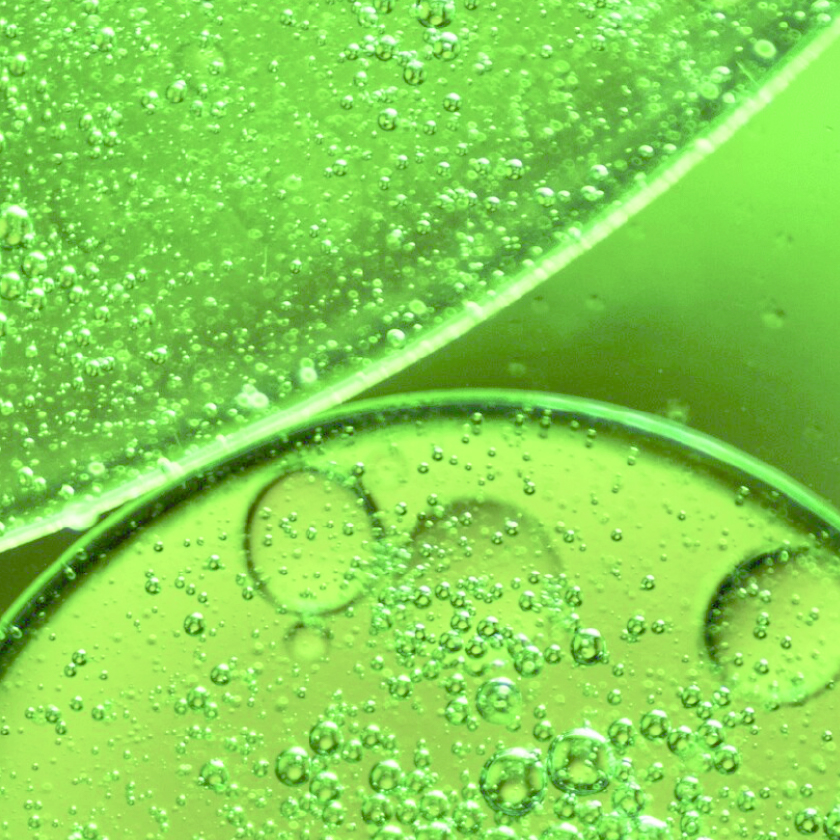 Plant-based antimicrobial complex