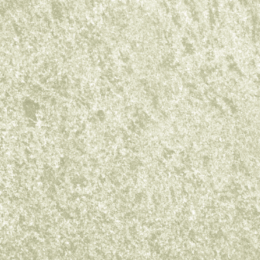 PEA Phytosomate (Cronilief®)