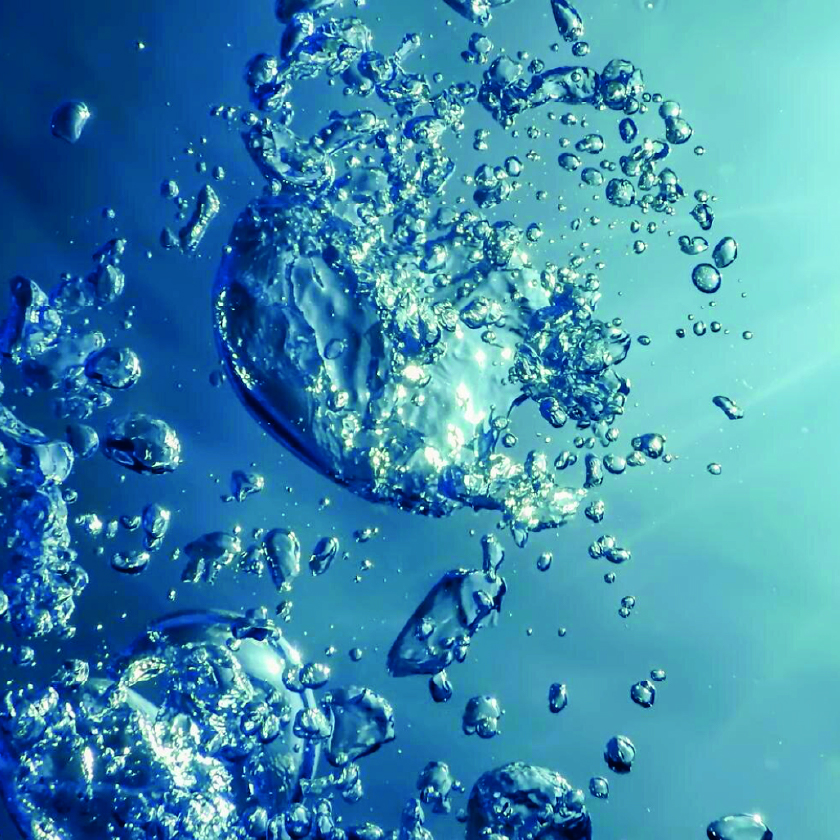 Marine collagen