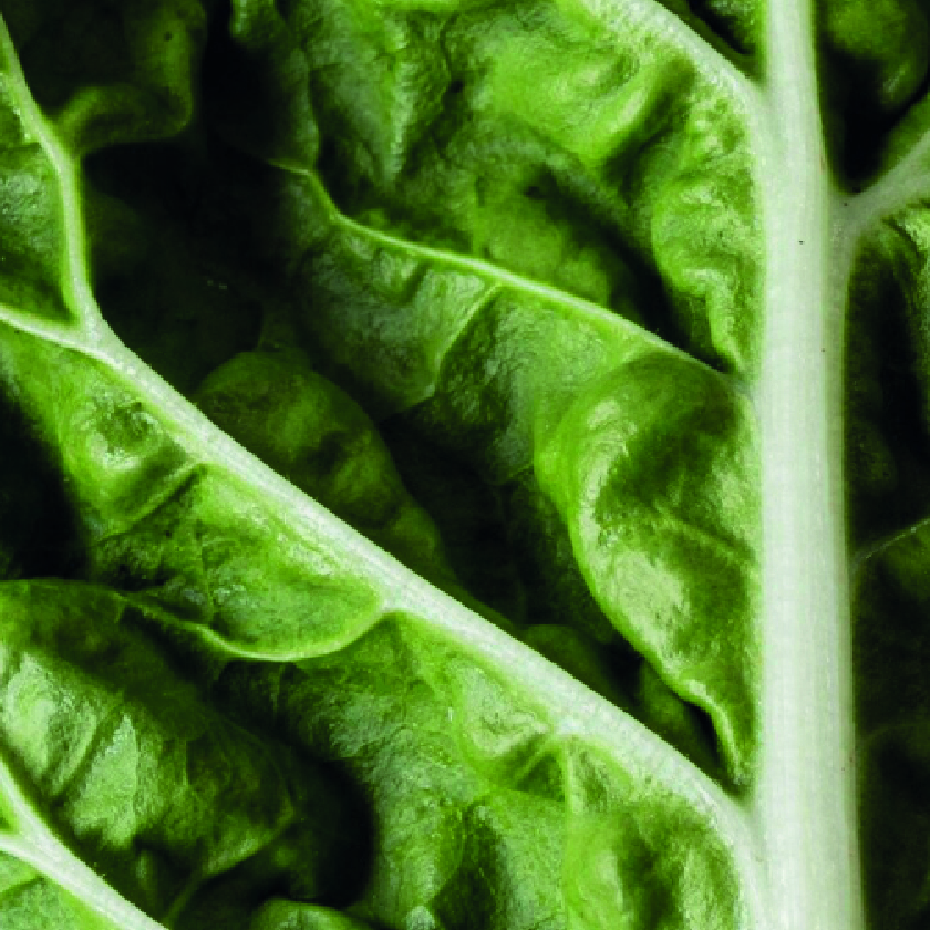 Folic acid