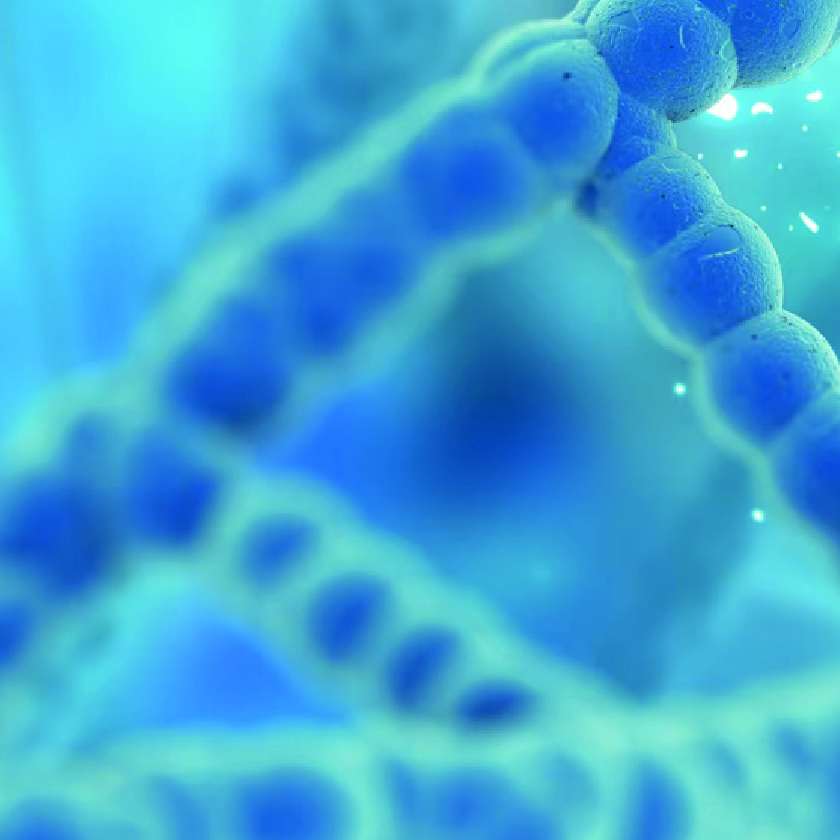 Growth factors (EGF, IGF, FGF, VEGF)
