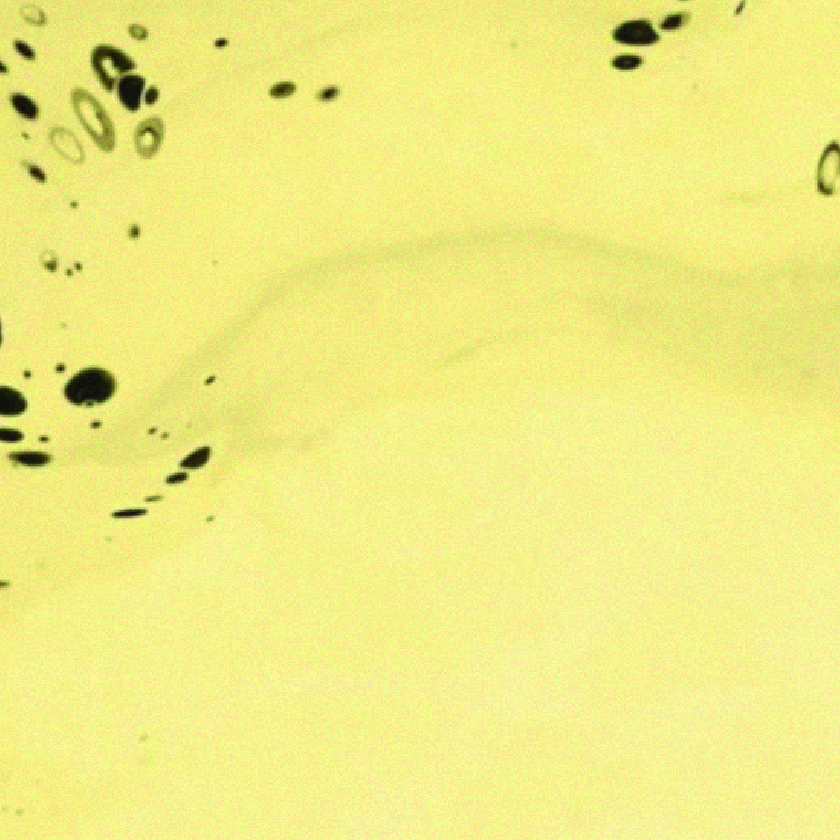 Vegetable Oils