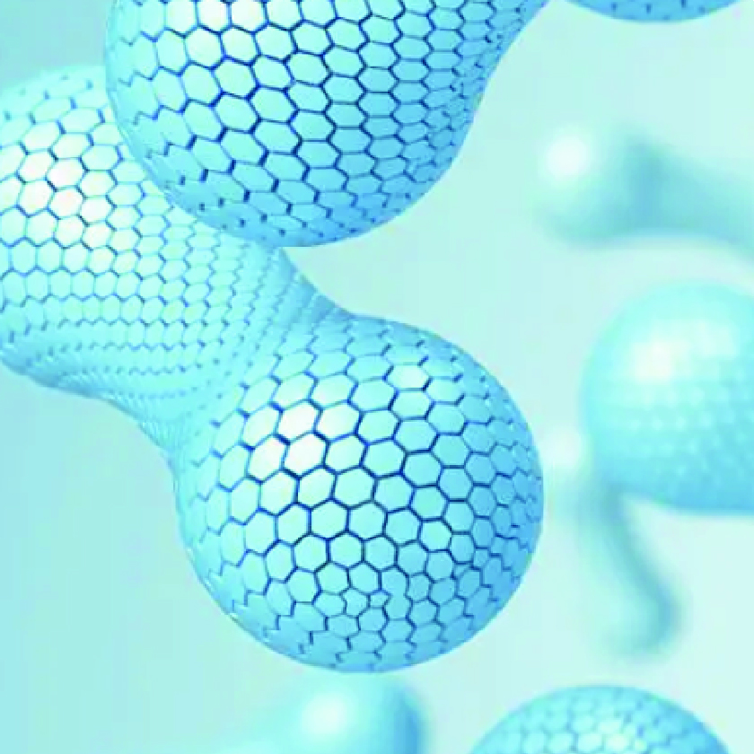 Prebiotic (BioEcolians®)