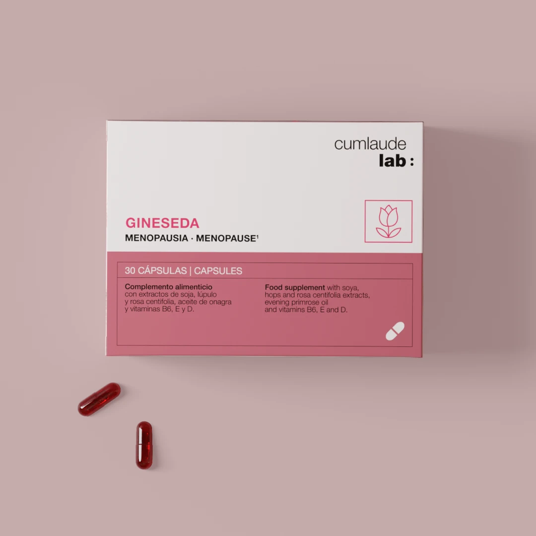 Gineseda
