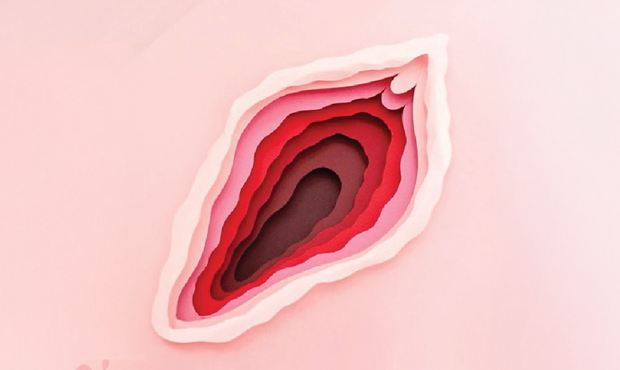 Estética y armonización vulvar no invasiva