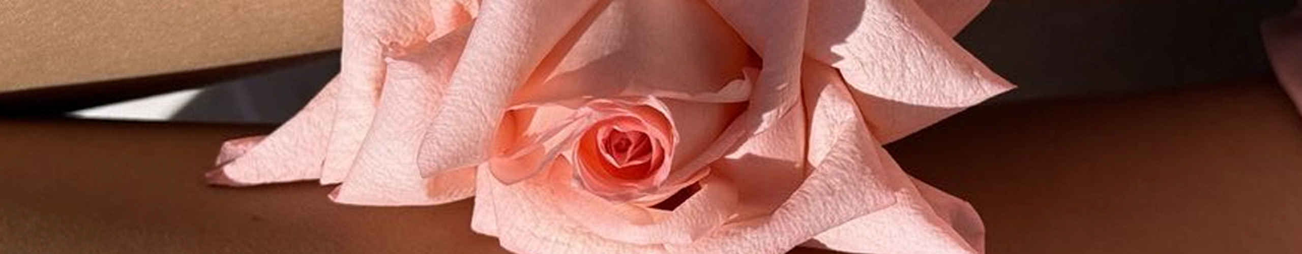 Infecciones vaginales recurrentes