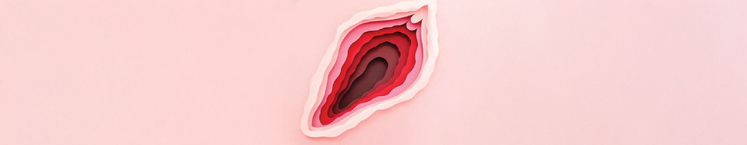 Estética y armonización vulvar no invasiva