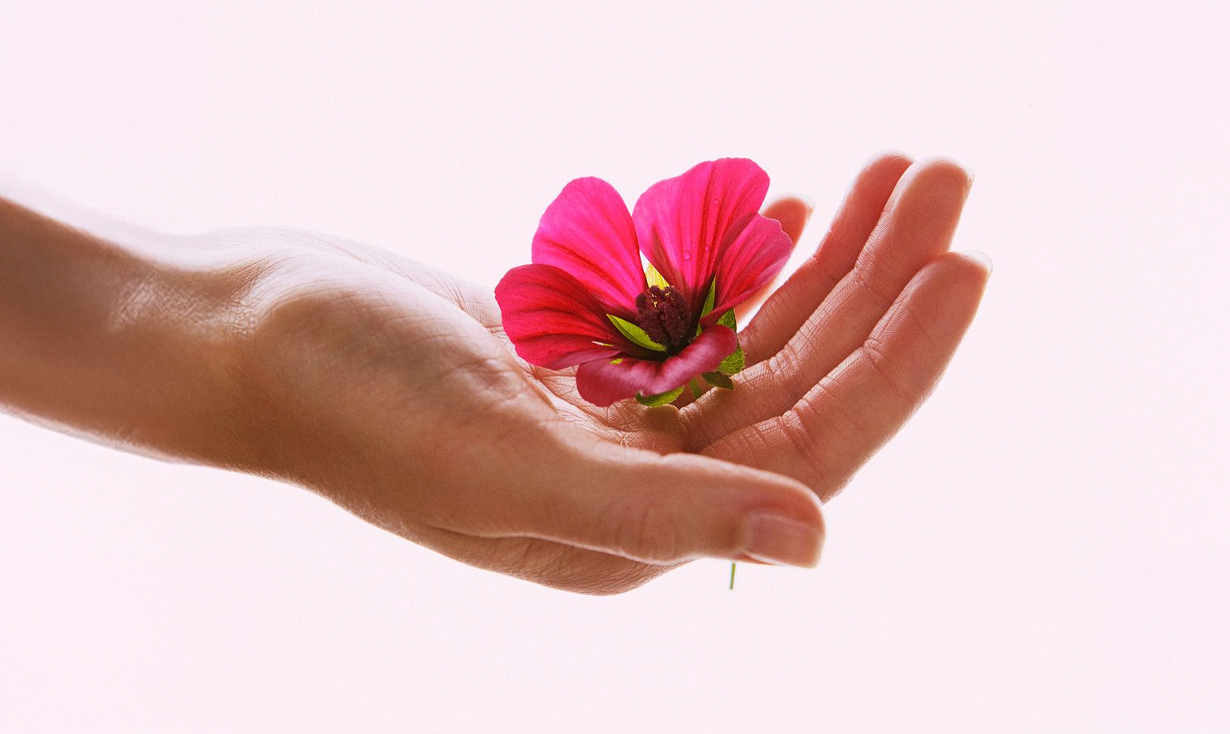 Hablemos sobre la menopausia con la Dra. Indra Elizalde
