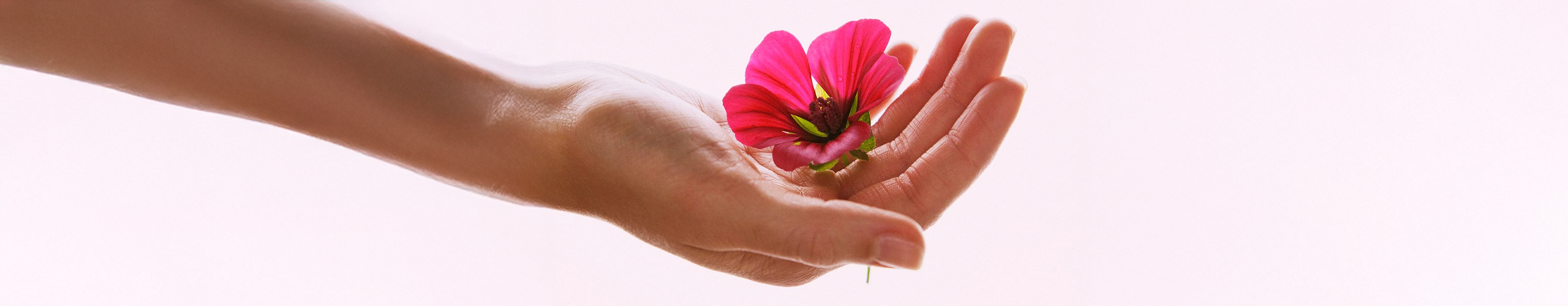 Hablemos sobre la menopausia con la Dra. Indra Elizalde