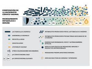 CumlaudeLab Venezuela | 250 Especies Microbiota