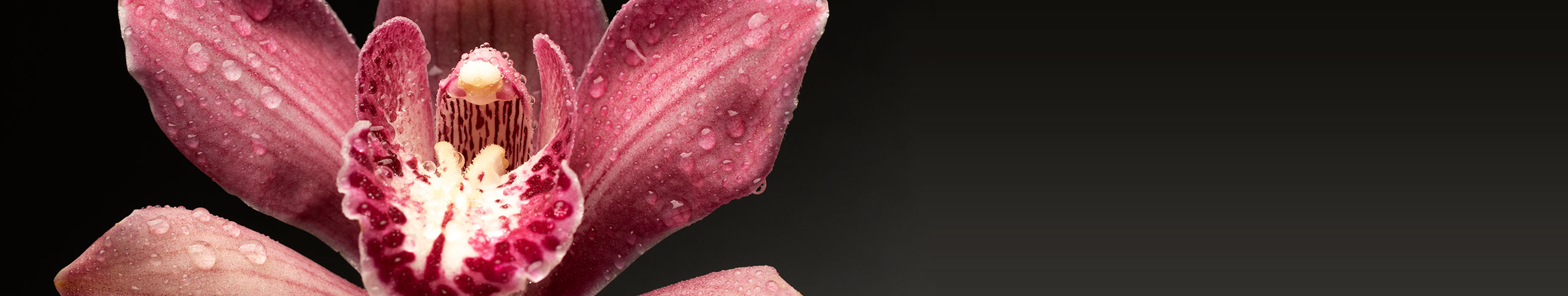 Más allá de la microbiota vaginal